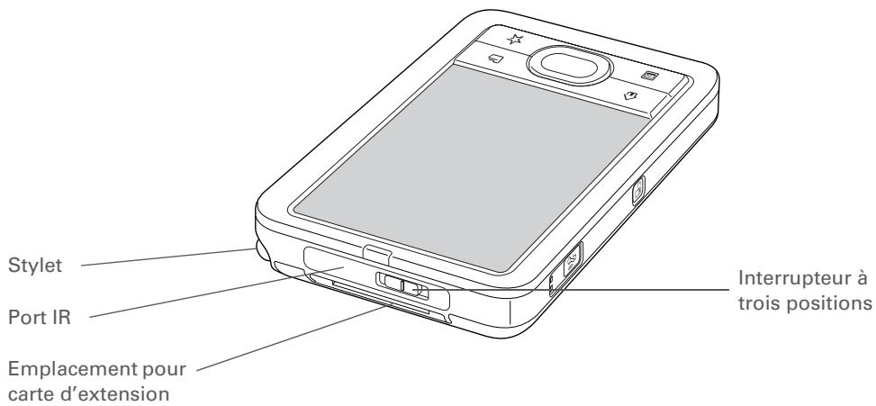 PALM LIFEDRIVE - Le saviez-vous ? - 1