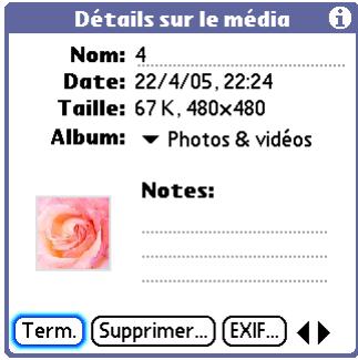 PALM LIFEDRIVE - Terme clé - 1