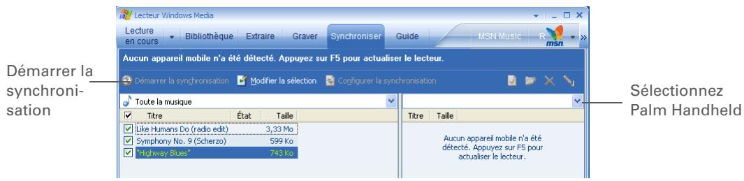 PALM LIFEDRIVE - Conseil - 1