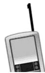 PALM LIFEDRIVE - Conseil - 3