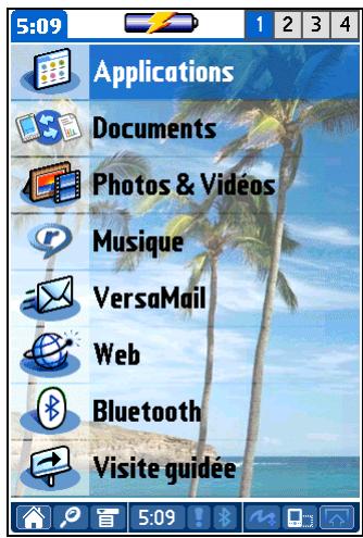 PALM LIFEDRIVE - Conseil - 1