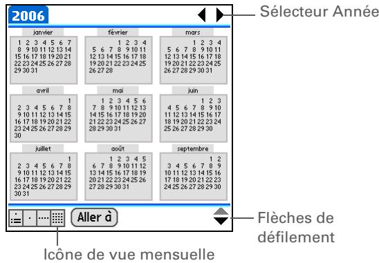 PALM LIFEDRIVE - Affichage d'un calendrier annuel - 2