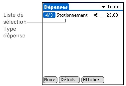 PALM LIFEDRIVE - Allez sur applications et sélectionnez dépenses - 2