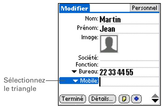 PALM LIFEDRIVE - Sélection des types de champs de contact - 1