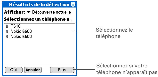PALM LIFEDRIVE - Conseil - 2