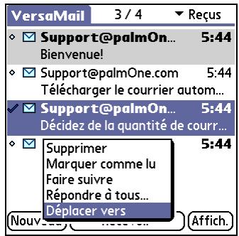 PALM LIFEDRIVE - Conseil - 1