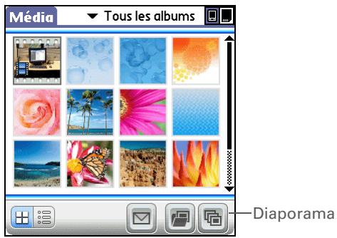 PALM LIFEDRIVE - Le saviez-vous ? - 3