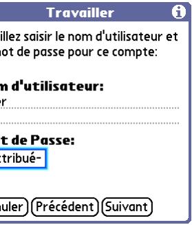 PALM LIFEDRIVE - Paramètres du compte - 3
