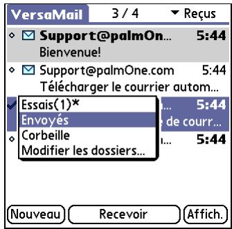 PALM LIFEDRIVE - Conseil - 3