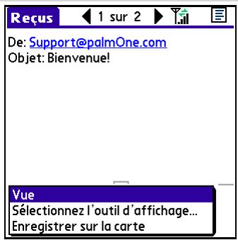 PALM LIFEDRIVE - Fichier affichable : texte, document word tâche, HTML, graphisme, etc. - 1