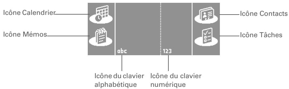 PALM LIFEDRIVE - Zone de saisie - 1