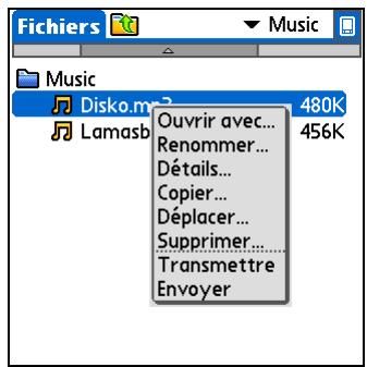 PALM LIFEDRIVE - Ouvrez fichiers. - 1