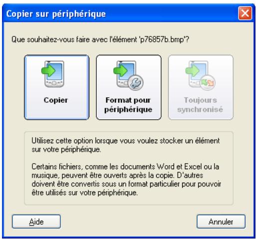 PALM LIFEDRIVE - Sélectionnez l'une des options suivantes : - 1