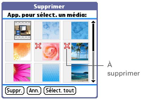PALM LIFEDRIVE - Suppression d'une photo ou d'une vidéo - 1