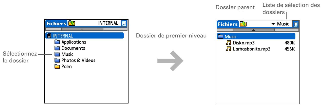 PALM LIFEDRIVE - Conseil - 1