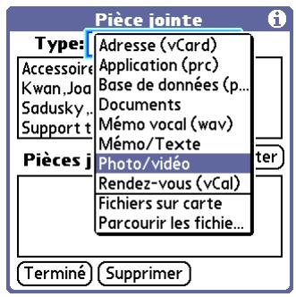 PALM LIFEDRIVE - Conseil - 1