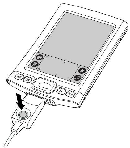 PALM TUNGSTEN E2 - Conseil - 2