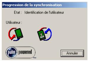 PALM TUNGSTEN T3 - Pour exécuter une hotsync locale sur un ordinateur de bureau sous windows : - 3