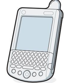 PALM TUNGSTEN W - Important! vous utilisez déjà un ordinateur de poche palm™? - 1