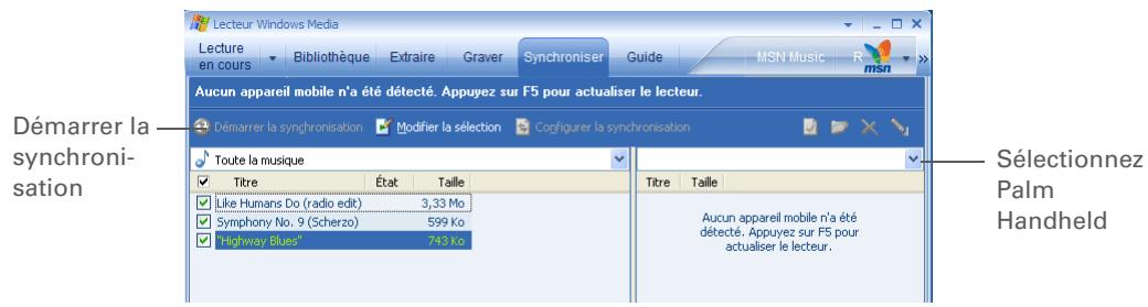 PALM TX - Conseil - 1