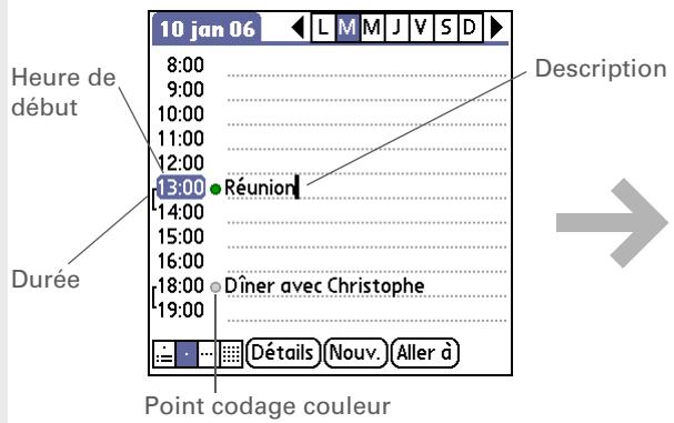 PALM TX - Conseil - 1
