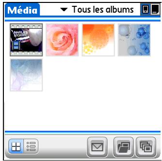 PALM TX - Classement des photos et vidéos dans des albums - 2