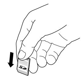 PALM TX - Insertion d'une carte d'extension - 1