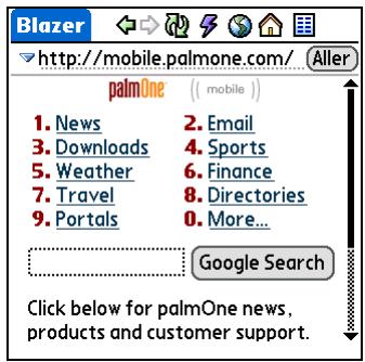 PALM TX - Accès à une page web - 2