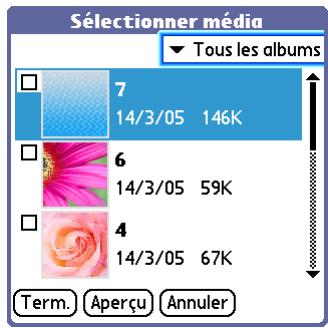 PALM TX - Conseil - 4