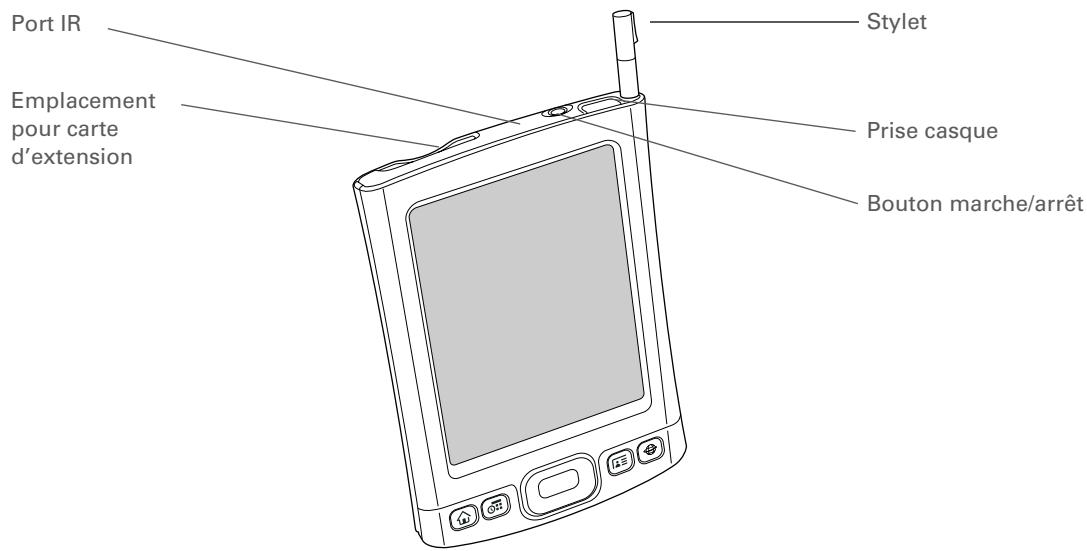 PALM TX - Vue de dessus - 1