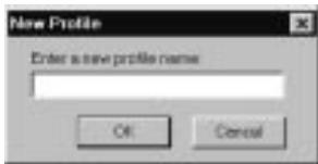 PALM V - Creating a user profile - 2