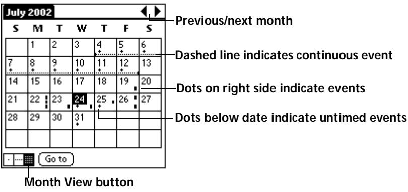 PALM V - Working in Month View - 1