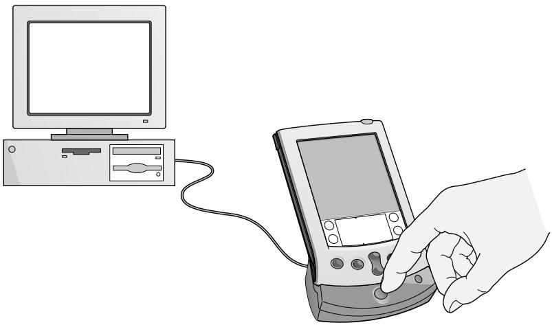 PALM V - Using Palm Desktop software - 1