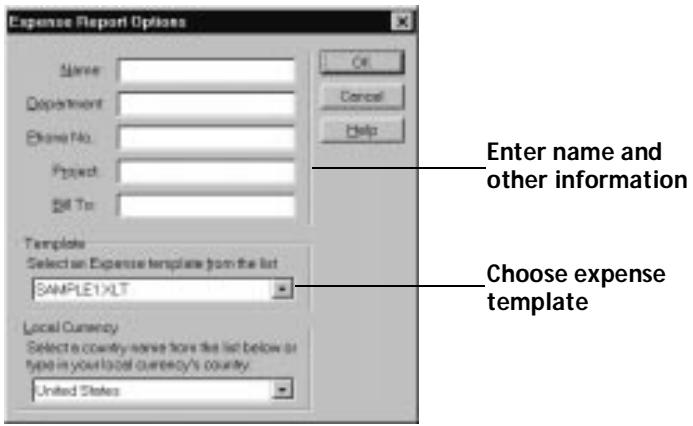 PALM V - Using expense report templates - 2