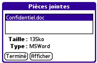 PALM VERSAMAIL - Pour afficher une pièce jointe : - 4