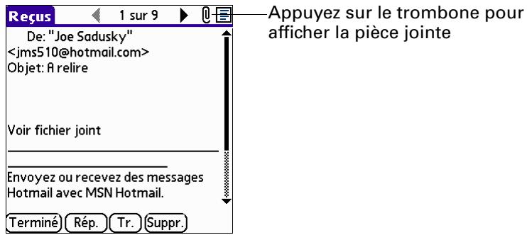 PALM VERSAMAIL - Pour afficher une pièce jointe : - 3