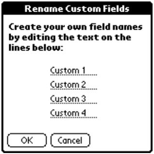 PALM VX - Rename Custom Fields - 1