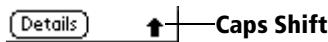 PALM VX - To draw the first letter of a word as a capital letter: - 2