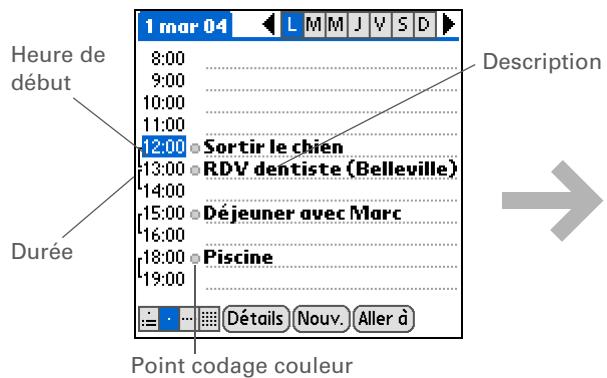 PALM Z22 - Conseil - 1