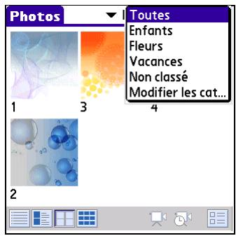 PALM Z22 - Organisation des photos par catégories - 1