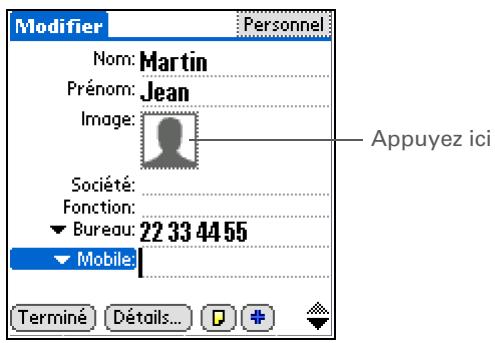 PALM Z22 - Conseil - 1
