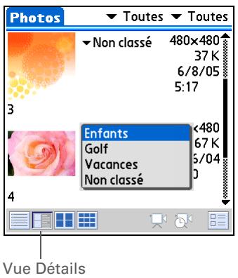 PALM Z22 - Conseil - 3
