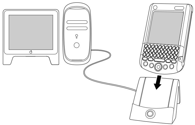 PALM TUNGSTEN C - Pour effectuer une opération hotSync locale sur macintosh : - 1