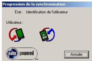 PALM TUNGSTEN T2 - Pour exécuter une HotSync locale sous Windows : - 3