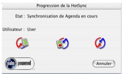 PALM TUNGSTEN T2 - Pour effectuer une opération HotSync locale sur Macintosh : - 4