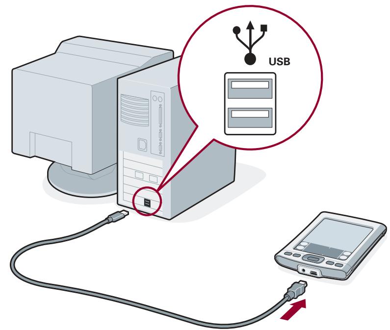 PALM TUNGSTENE - Connect to your computer - 1