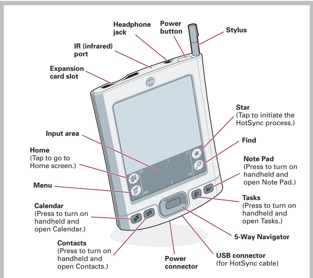 PALM TUNGSTENE - INSTALL SOFTWARE AND CONNECT HANDHeld - 1