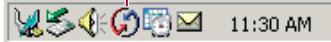 PALM TUNGSTENE - Windows: - 1