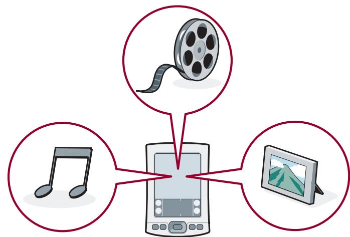 PALM TUNGSTENE - Listen to music, watch videos, view photos - 1