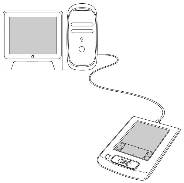 PALM ZIRE 21 - Pour effectuer une opération hotSync locale sur macintosh : - 1